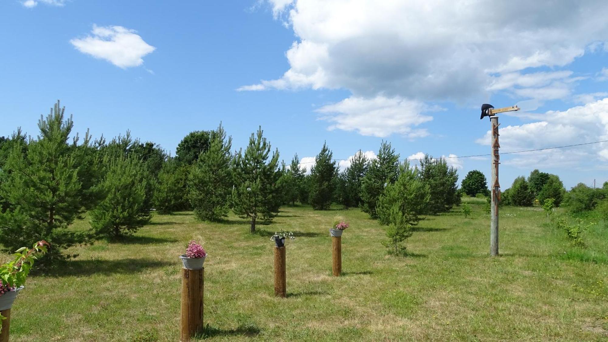 Kastani Camping Haapsalu Luaran gambar